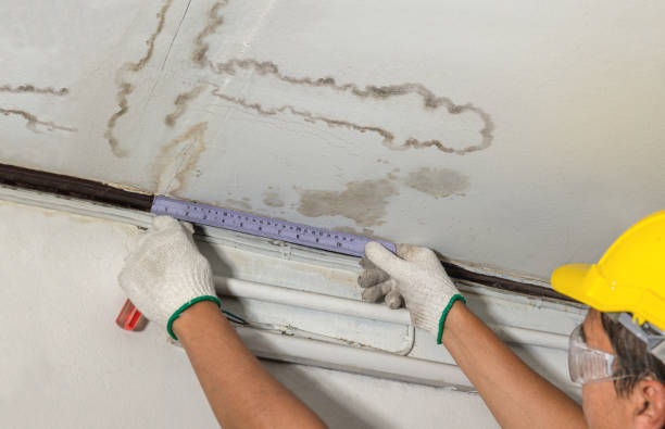 Affordable Ceiling Water Damage Repair solutions in Norwood, LA